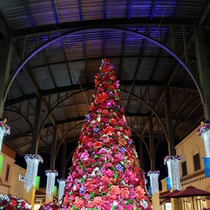 【ちなつツリー編】😄🎄✨