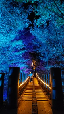 【ちなつ紅葉ライトアップ編】😄🍁✨