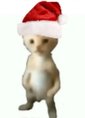 おっはニャン➰ฅ•ﻌ•ฅ☀️✨