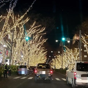 【ちなつイルミネーション編】😄🎄✨