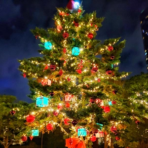 【ちなつツリー編】😄🎄✨