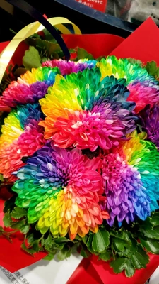 【ちなつ冬のお花編】😄🌼✨