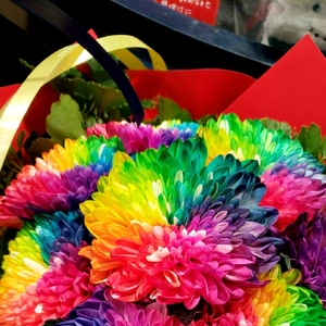 【ちなつ冬のお花編】😄🌼✨