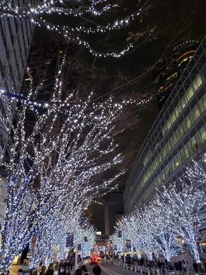 【ちなつイルミネーション編】😄🎄✨