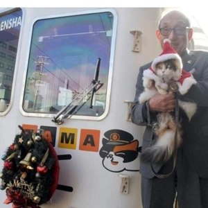 こにゃにゃちわ➰ฅ•ﻌ•ฅ☁️