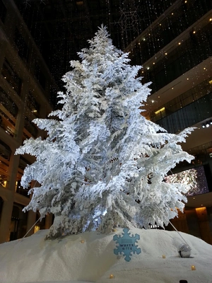 【ちなつツリー編】😄🎄✨