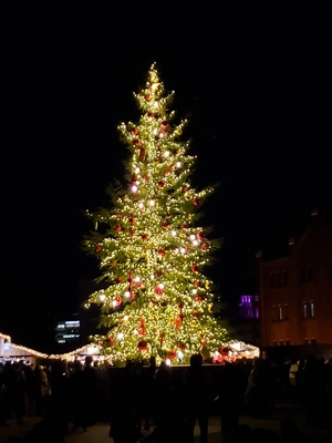 【ちなつツリー編】😄🎄✨