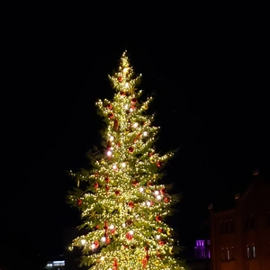 【ちなつツリー編】😄🎄✨
