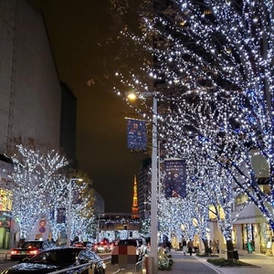 【ちなつイルミネーション編】😄🎄✨