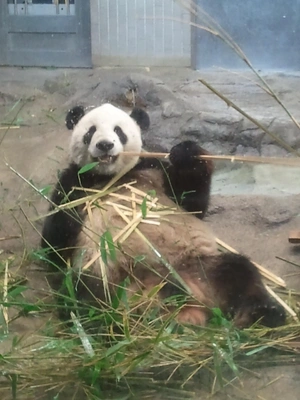 【ちなつ】です😊🐼✨