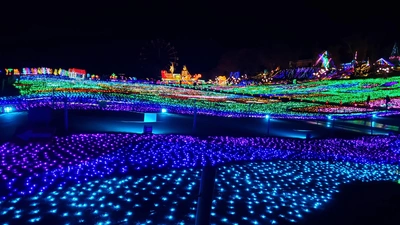 【ちなつイルミネーション編】😄🎄✨