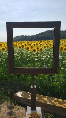 【ちなつ】携帯写真館