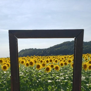 【ちなつ】携帯写真館