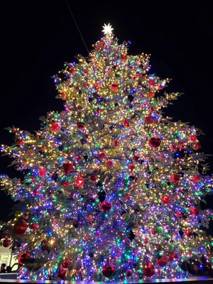 【ちなつツリー編】😄🐱🎄