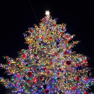 【ちなつツリー編】😄🐱🎄