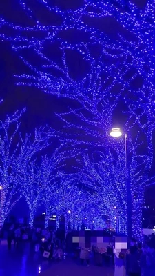 【ちなつイルミネーション編】😄🎄✨