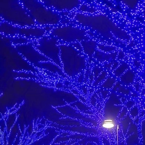 【ちなつイルミネーション編】😄🎄✨