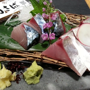 【ちなつ外食編】😄🐟✨