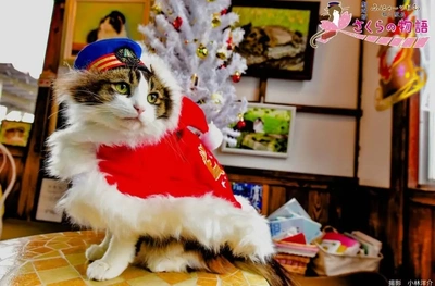 こにゃにゃちわ➰ฅ•ﻌ•ฅ☁️