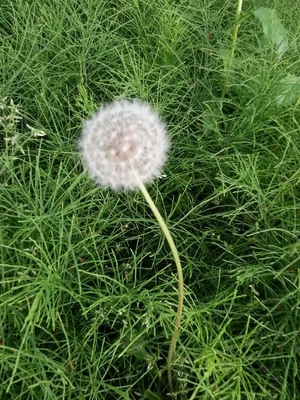 【ちなつ】携帯写真館