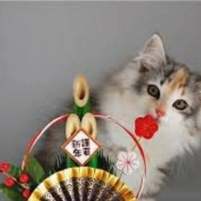 こにゃにゃちわ➰ฅ•ﻌ•ฅ☀️✨