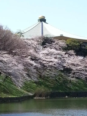 【ちなつ】携帯写真館