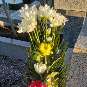 【ちなつ】です😄😺✨