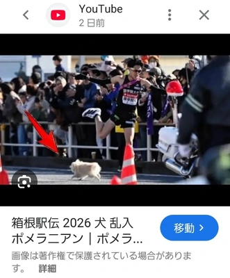 【ちなつ】です😄😺🌃