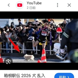 【ちなつ】です😄😺🌃