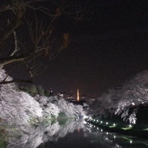 【ちなつ】携帯写真館