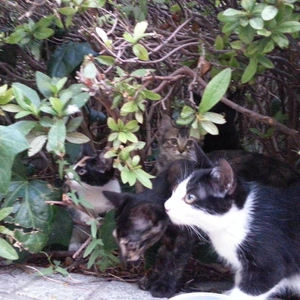 【ちなつ】です😄😺✨