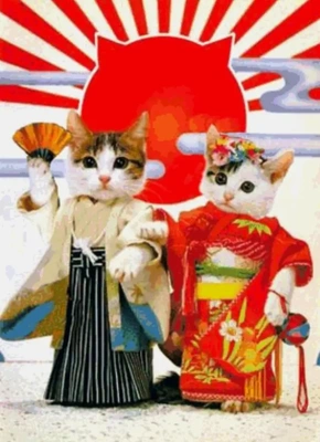 ✨🇯🇵成人の日🇯🇵✨