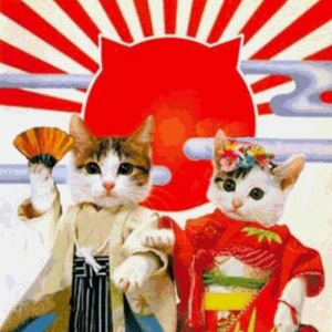 ✨🇯🇵成人の日🇯🇵✨