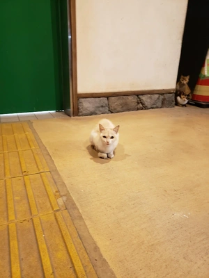 【ちなつ】です😄😺✨