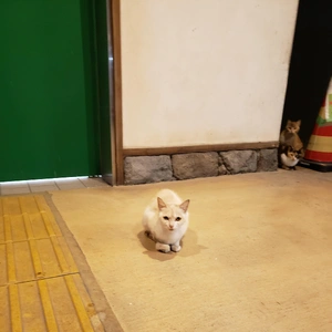 【ちなつ】です😄😺✨