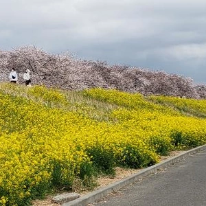 【ちなつ】携帯写真館