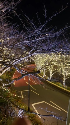 【ちなつイルミネーション編】😄🌃✨