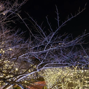 【ちなつイルミネーション編】😄🌃✨