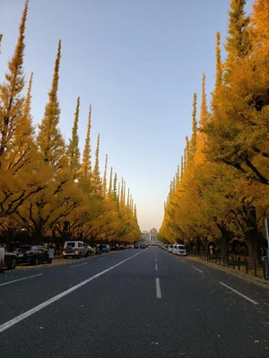 【ちなつ】携帯写真館