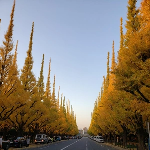 【ちなつ】携帯写真館