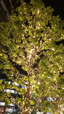 【ちなつイルミネーション編】😄🎄✨