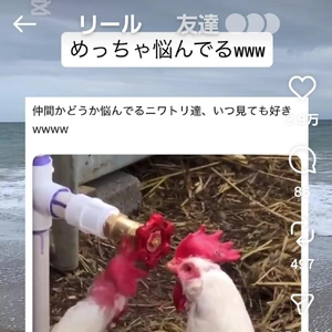 【ちなつ】です😄😺☀️