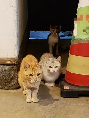 【ちなつ】です😄😺🌃