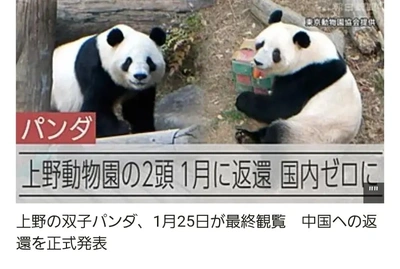 【ちなつ】です🐼😢💔