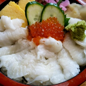 【ちなつ外食編】😄🐟✨