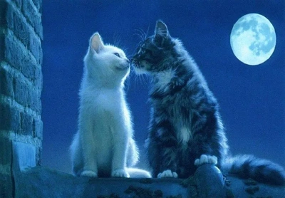 こにゃにゃちわ➰ฅ•ﻌ•ฅ