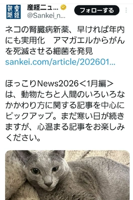 【ちなつ】です😄😺🌃