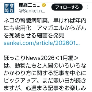 【ちなつ】です😄😺🌃