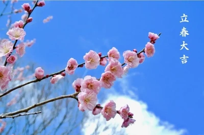✨🌸立春🌸✨
