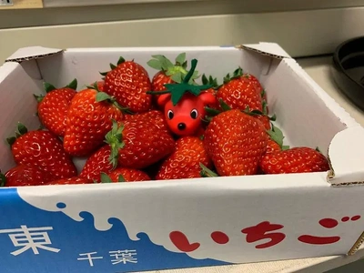 【ちなつ】です😄🍓✨